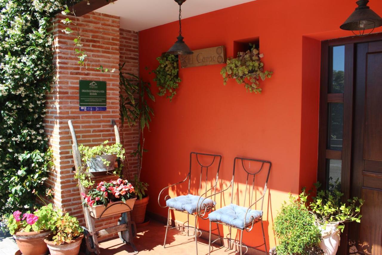 El Campo Casa de camp Secadura